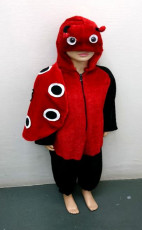 Ladybug Girls Costume